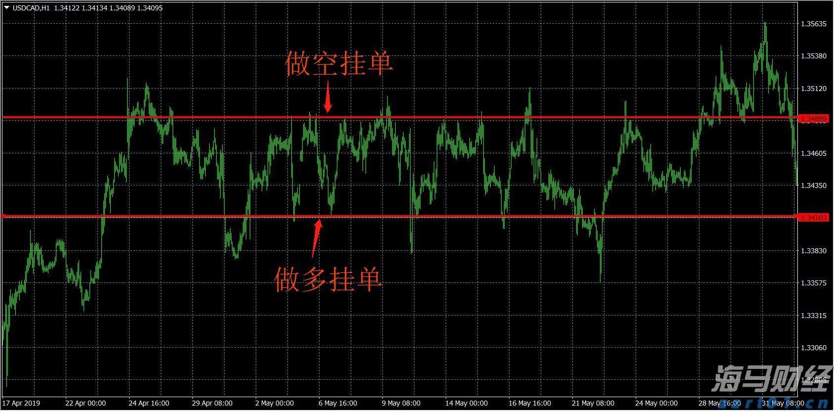 梅州海关供港澳活猪远程检疫监装模式正式启动