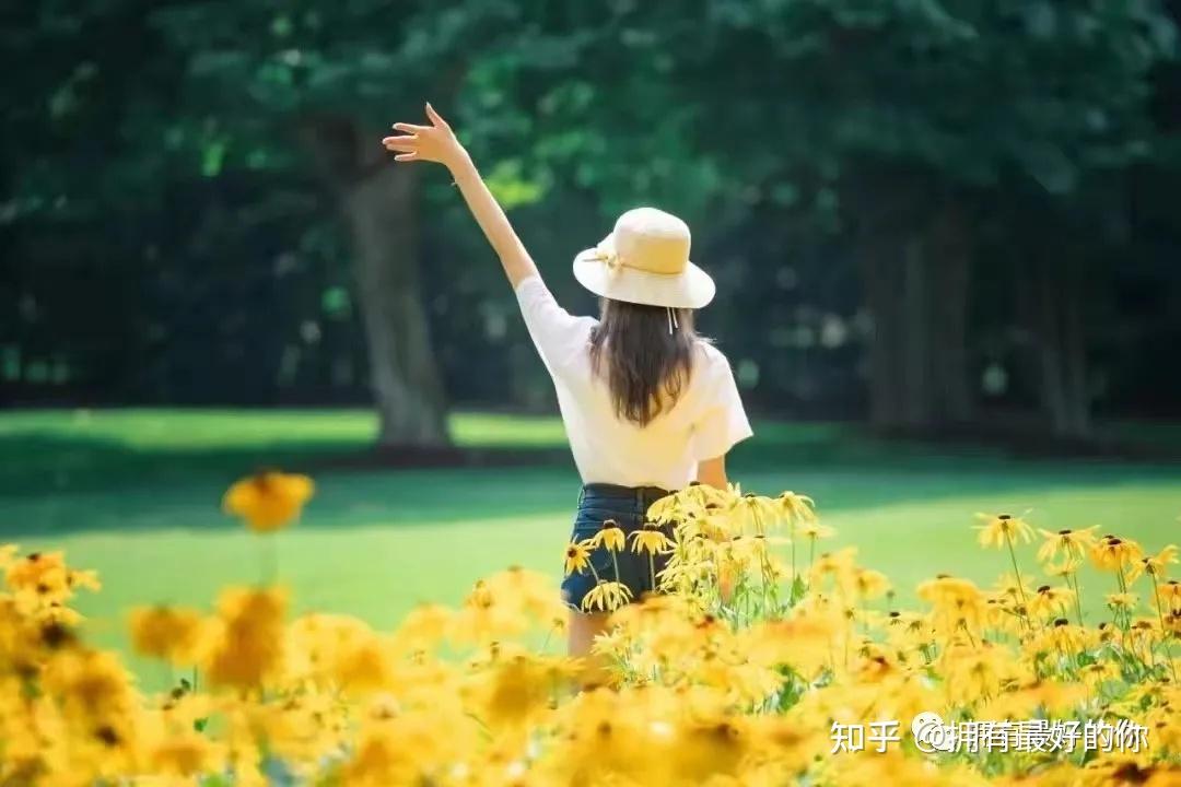 泰康人寿2024年报披露：深耕新寿险，开拓高质量发展新局